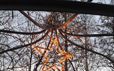 Gezellige sfeer in tuin