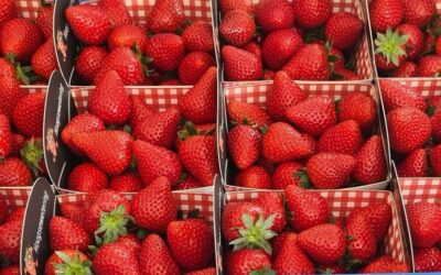VVS actie aardbeien